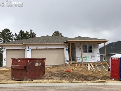 16429 Dancing Bear Ln, Monument, CO 80132 photo 25
