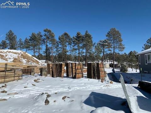 16429 Dancing Bear Ln, Monument, CO 80132 photo 27