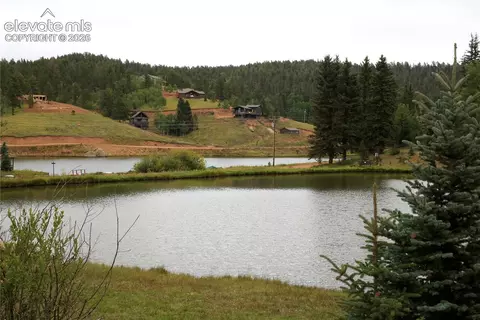 View/Area - 395 Ridge Rd, Divide, CO 80814 photo 4 of 8
