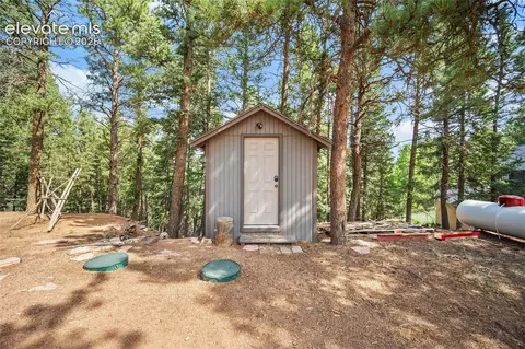 Exterior - 395 Ridge Rd, Divide, CO 80814 photo 2 of 3