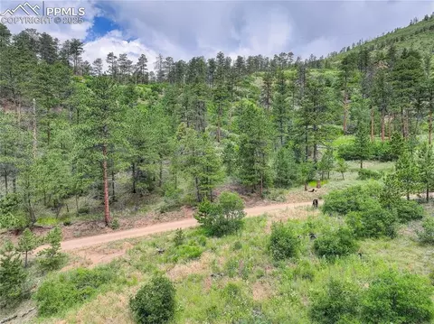 6085 Wellington Rd, Cascade, CO 80809 photo 10