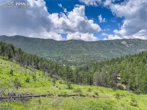 6085 Wellington Rd, Cascade, CO 80809 photo 9