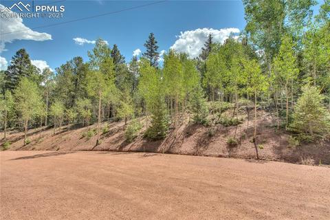 1444 Calcite Dr, Divide, CO 80814 photo 5