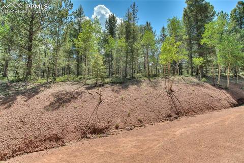 1444 Calcite Dr, Divide, CO 80814 photo 6