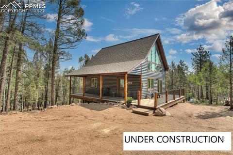 1444 Calcite Dr, Divide, CO 80814 photo 1