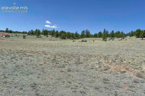 1999 Arapaho Trl, Hartsel, CO 80449