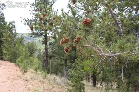 104 Rainbow Ct, Divide, CO 80814 photo 5