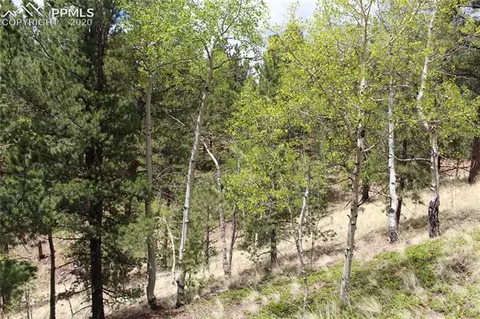 104 Rainbow Ct, Divide, CO 80814 photo 4