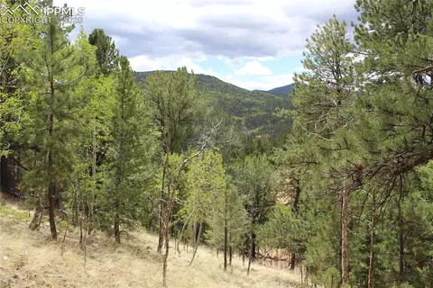 104 Rainbow Ct, Divide, CO 80814 photo 1
