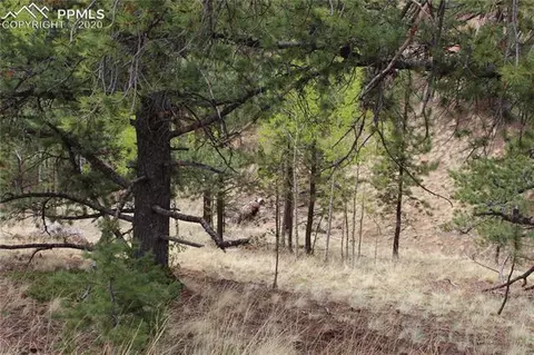 104 Rainbow Ct, Divide, CO 80814 photo 3