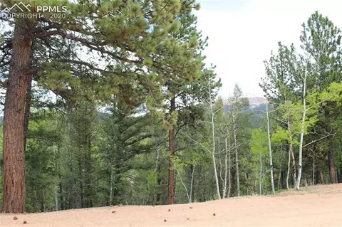 104 Rainbow Ct, Divide, CO 80814 photo 6