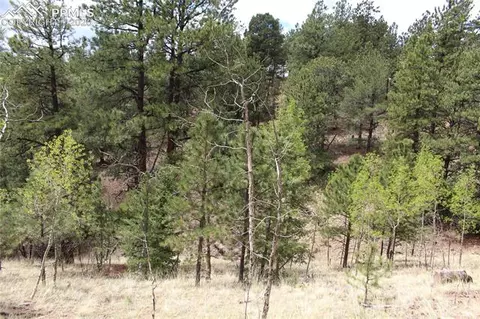 104 Rainbow Ct, Divide, CO 80814 photo 2
