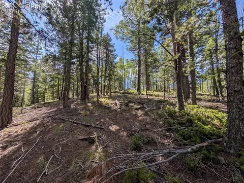 60 Fluorite Ln, Divide, CO 80814 photo 9
