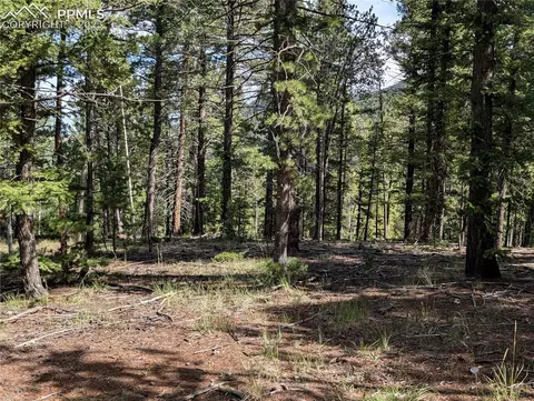 60 Fluorite Ln, Divide, CO 80814 photo 2
