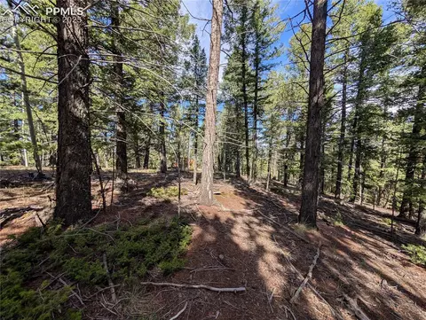 60 Fluorite Ln, Divide, CO 80814 photo 12