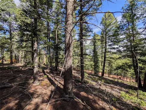 60 Fluorite Ln, Divide, CO 80814 photo 18