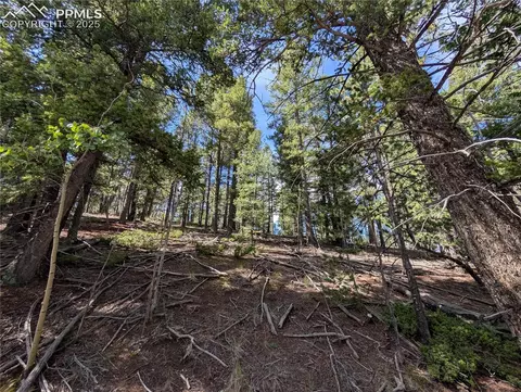 60 Fluorite Ln, Divide, CO 80814 photo 7
