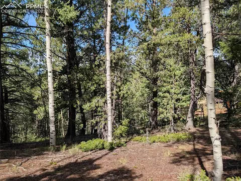 60 Fluorite Ln, Divide, CO 80814 photo 15