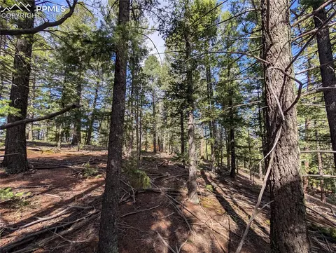 60 Fluorite Ln, Divide, CO 80814 photo 17