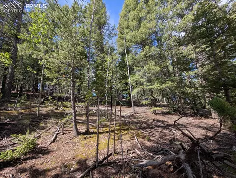 60 Fluorite Ln, Divide, CO 80814 photo 6