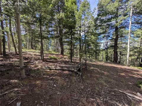 60 Fluorite Ln, Divide, CO 80814 photo 13