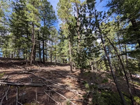 60 Fluorite Ln, Divide, CO 80814 photo 8