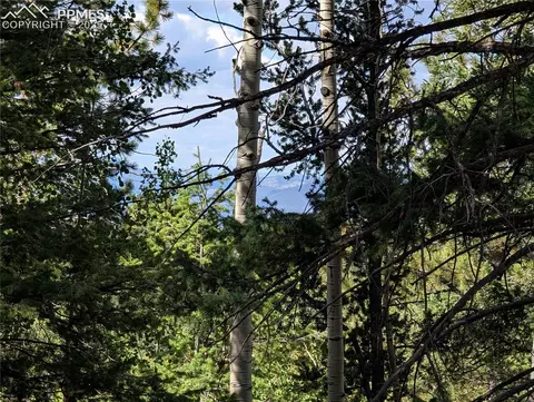 60 Fluorite Ln, Divide, CO 80814 photo 14