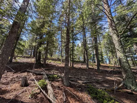 60 Fluorite Ln, Divide, CO 80814 photo 16