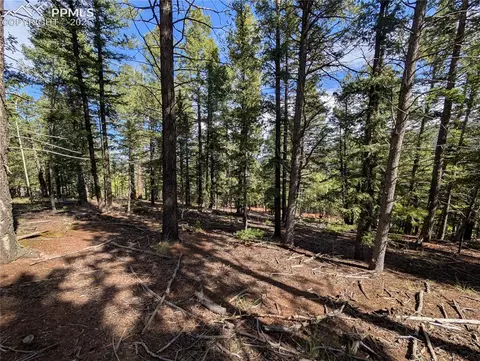 60 Fluorite Ln, Divide, CO 80814 photo 11