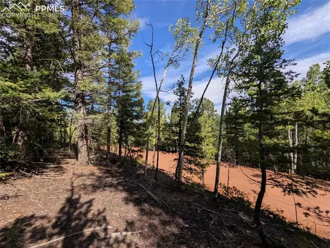60 Fluorite Ln, Divide, CO 80814 photo 5