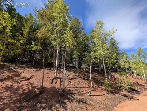 60 Fluorite Ln, Divide, CO 80814 photo 3
