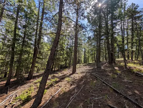 60 Fluorite Ln, Divide, CO 80814 photo 10