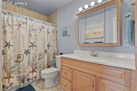 3585 Spaatz Rd, Monument, CO 80132 photo 20