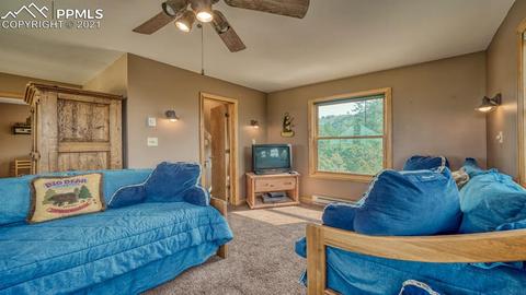 399 Keepsake Loop, Westcliffe, CO 81252 photo 24