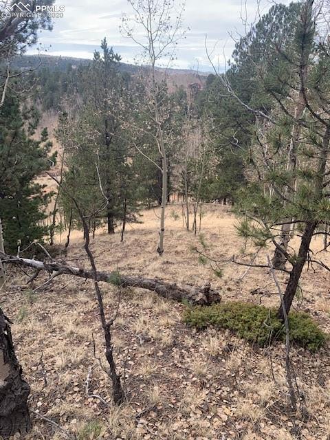116 Pikes Peak Dr, Divide, CO 80814 photo 1