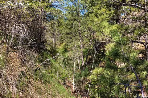 3560 Range View Rd, Monument, CO 80132 photo 16