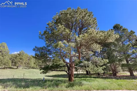 3560 Range View Rd, Monument, CO 80132 photo 5