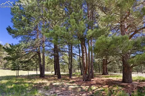 3560 Range View Rd, Monument, CO 80132 photo 19