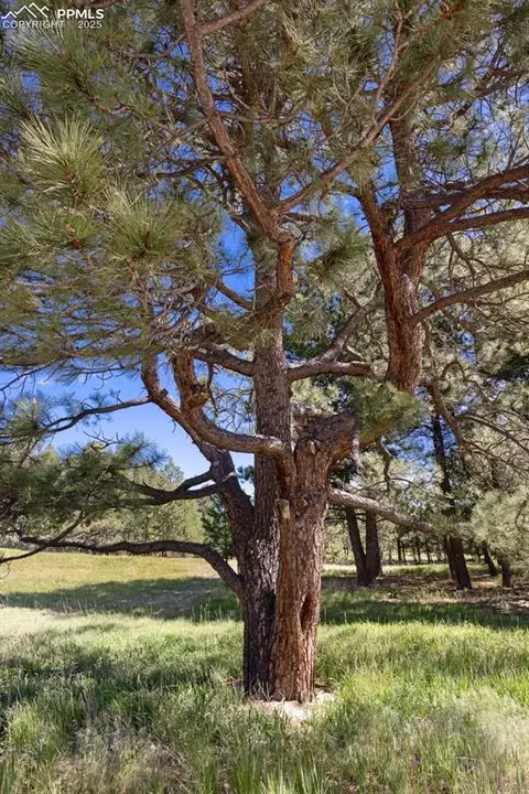 3560 Range View Rd, Monument, CO 80132 photo 18