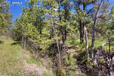 3560 Range View Rd, Monument, CO 80132 photo 15