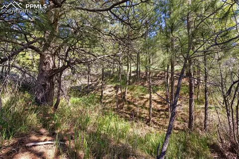 3560 Range View Rd, Monument, CO 80132 photo 14