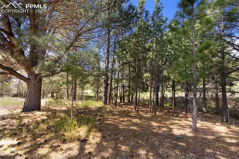 3560 Range View Rd, Monument, CO 80132 photo 13
