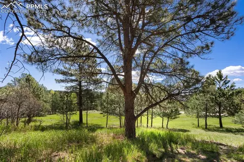 3560 Range View Rd, Monument, CO 80132 photo 17