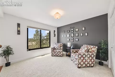 133 Matthew Rd, Divide, CO 80814 photo 31