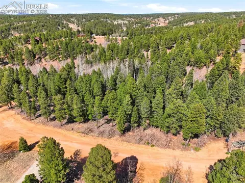 278 Cherry Lake Dr, Divide, CO 80814