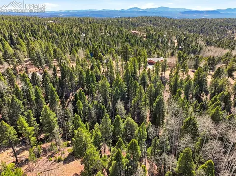 278 Cherry Lake Dr, Divide, CO 80814 photo 9