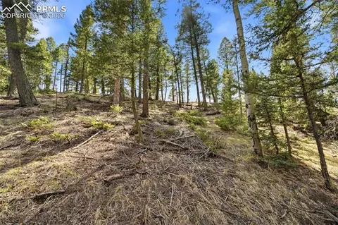 278 Cherry Lake Dr, Divide, CO 80814 photo 17