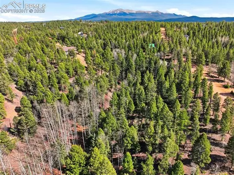 278 Cherry Lake Dr, Divide, CO 80814 photo 23