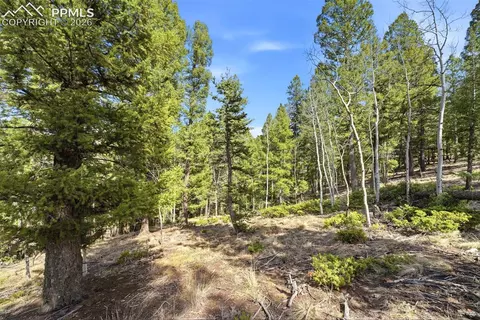 278 Cherry Lake Dr, Divide, CO 80814 photo 2