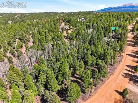 278 Cherry Lake Dr, Divide, CO 80814 photo 7